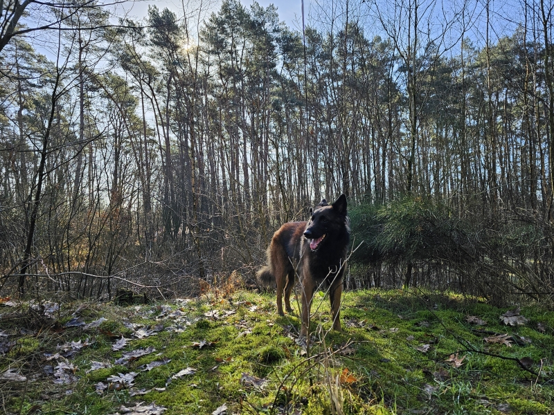 Wechelderzande Visbeekvallei en Hof d'intere wandelroute Wechelderzande Visbeekvallei en Hof d'intere wandelroute