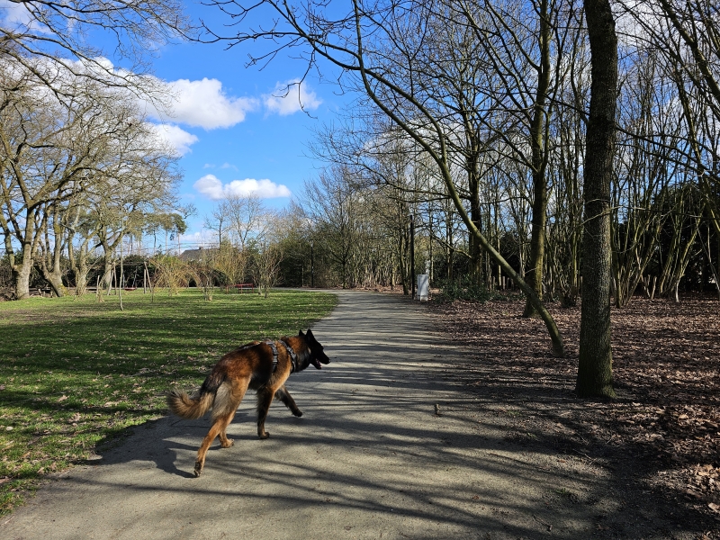 Wechelderzande wandeling rond Hof d'intere Wechelderzande wandeling rond Hof d'intere