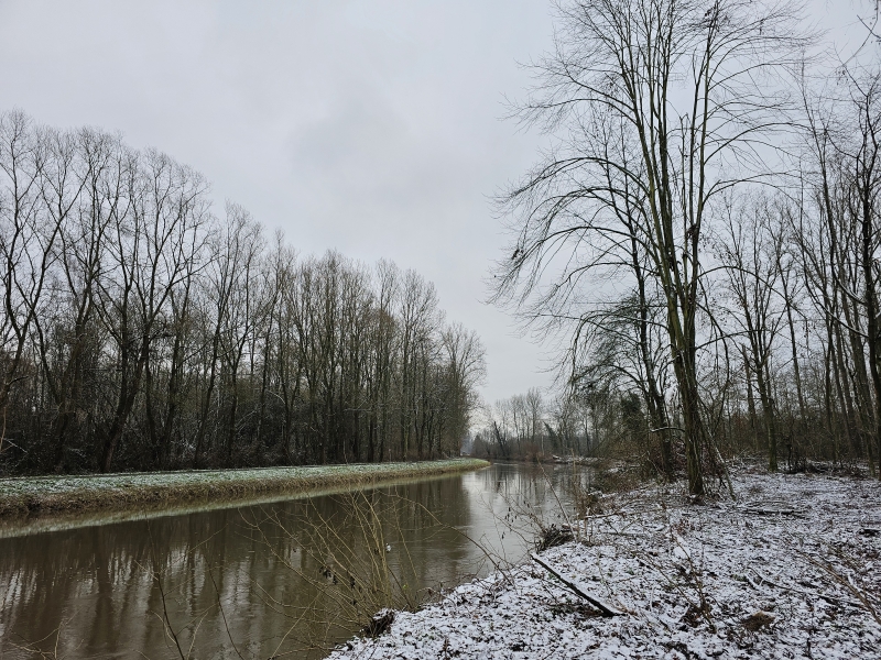 Wellemeersen Denderleeuw wandelen met hond