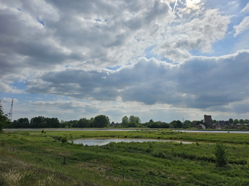 Wintam wandeling met hond Noordelijk Eiland