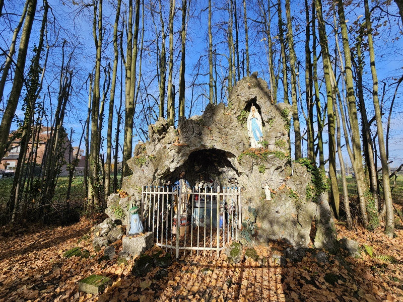 Wolvertem met hond wandelroute Beemdenwandeling