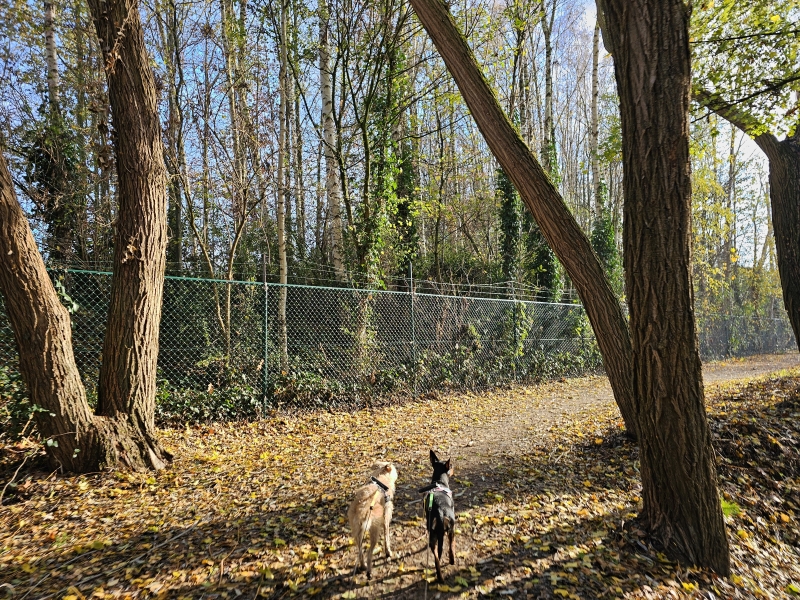 Wommelgem wandelroute Wommelgem wandelroute