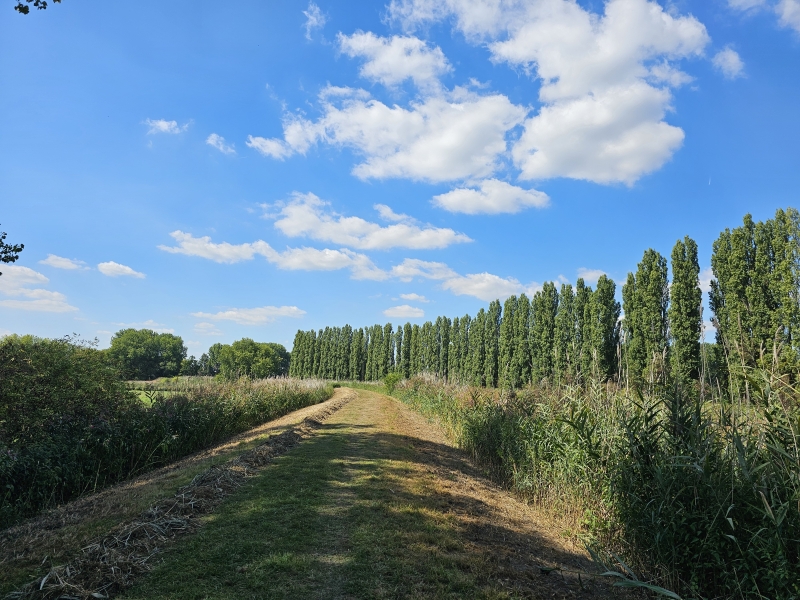 Zele wandelen Zele wandelen