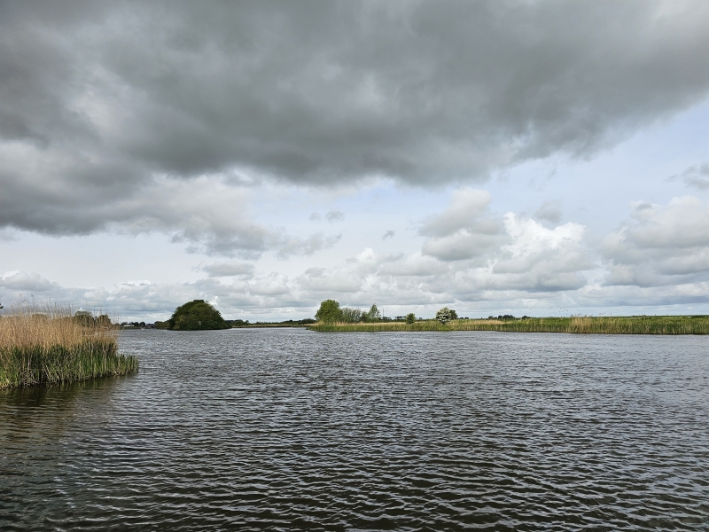 Zwemmen in het losloopgebied voor honden in Kollumerwaard, Kollumerpomp in Friesland