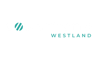 powermama westland 2 1 1