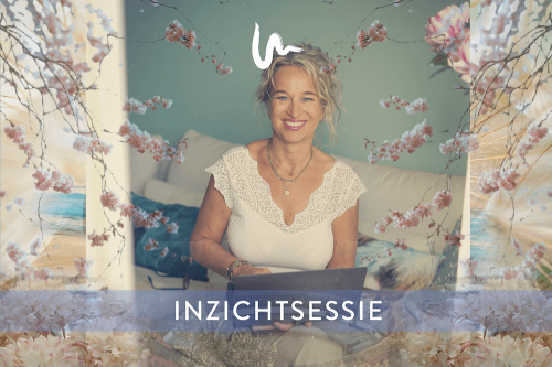 Inzichtsessie