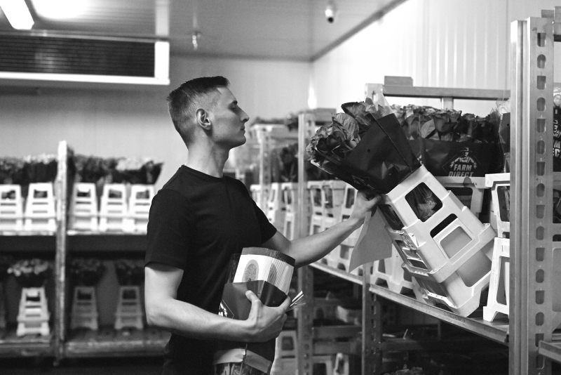 Farm Direct Roses from Ecuador Farm Direct Roses from Ecuador