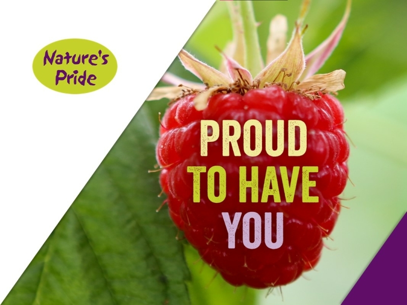 PowerPoint voorbeelden - Nature's Pride Slidebuilder