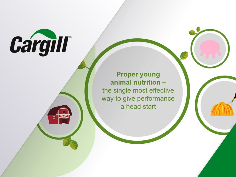 PowerPoint voorbeelden overzicht - Cargill
