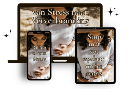 van Stress naar Vetverbranding
