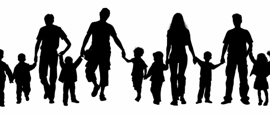 Systemisch Coachen en/of Familie Opstellingen