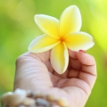 hooponopono-hawaii hooponopono-hawaii