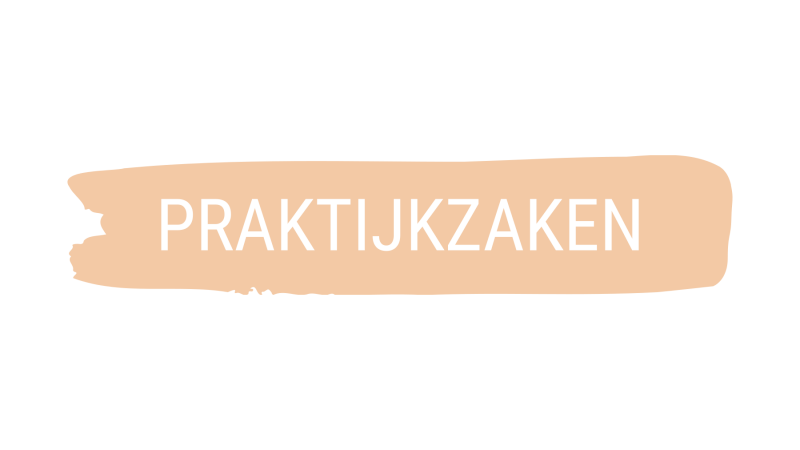 Praktijkzaken logo