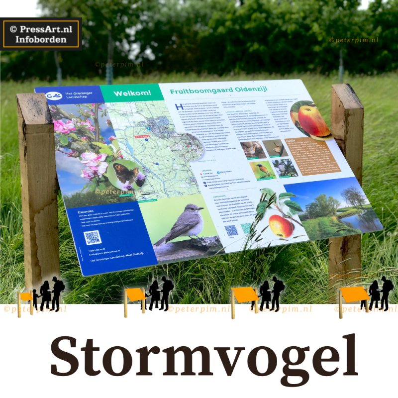 Stormvogel lessenaars infobord het perfecte informatiebord voor natuur