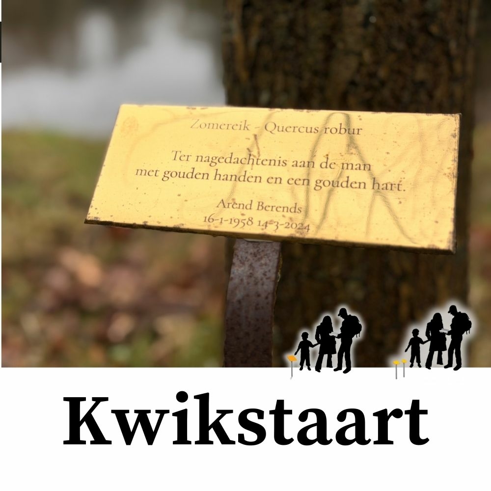 Kwikstaarten Varianten