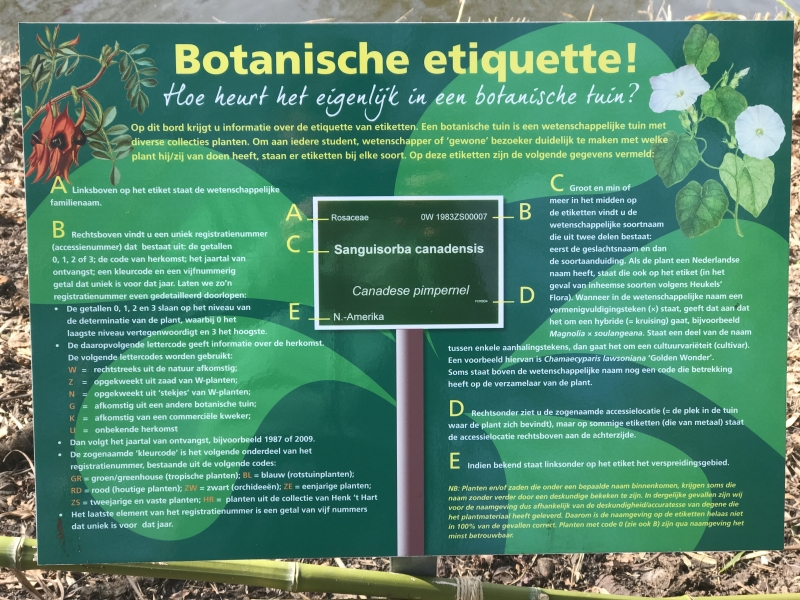 de-etiquette-van-botanische-etiketten-plantennaambordjes
