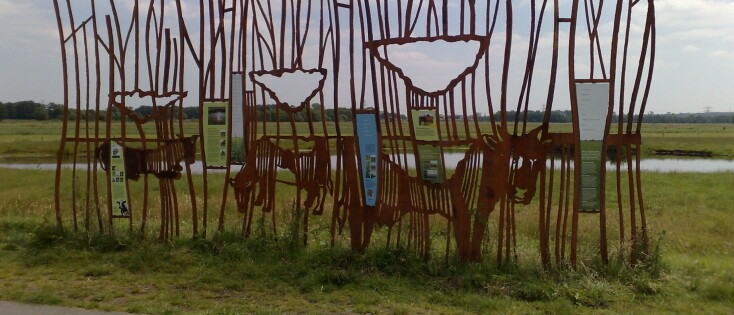 Educatief Kunst voor Soest