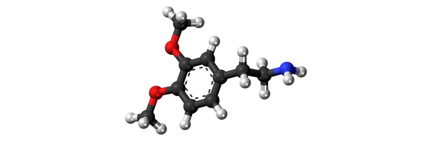 Wat is Dopamine? | Invloed op Productiviteit en Focus Wat is Dopamine? | Invloed op Productiviteit en Focus