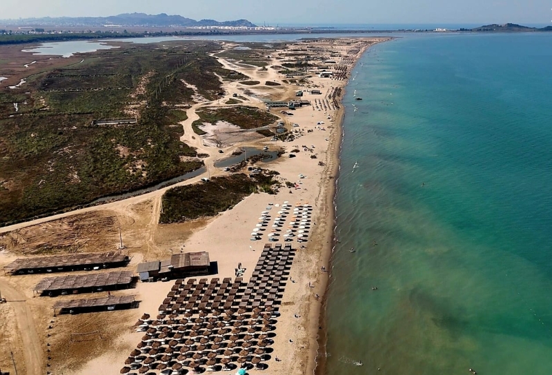 Aerial view of Sektor Rinia Beach near Durrës, Albania, featuring a wide sandy coastline, pine forests and the Adriatic Sea.