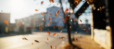 Het is herfst! Op naar de sauna!