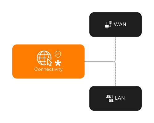 Connectivity LAN WAN