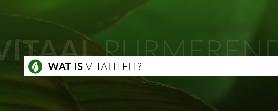 Wat is vitaliteit?