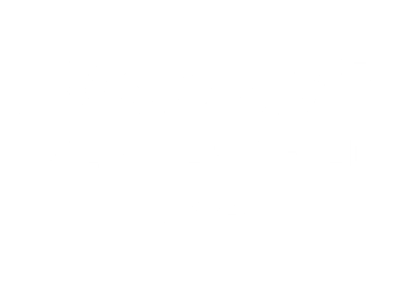 Microsoft Partner