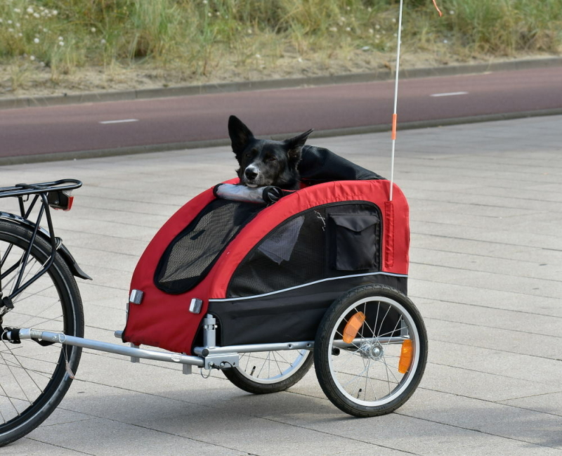 honden-fietskar