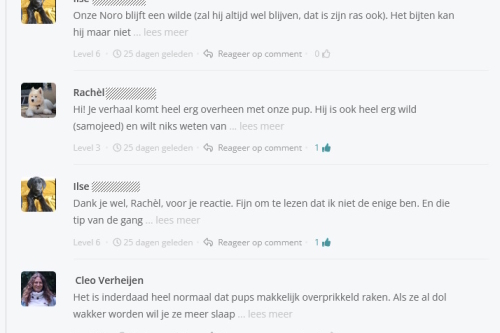 puppyopvoeden-groep-1