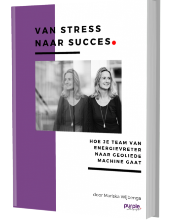Ebook van stress naar succes