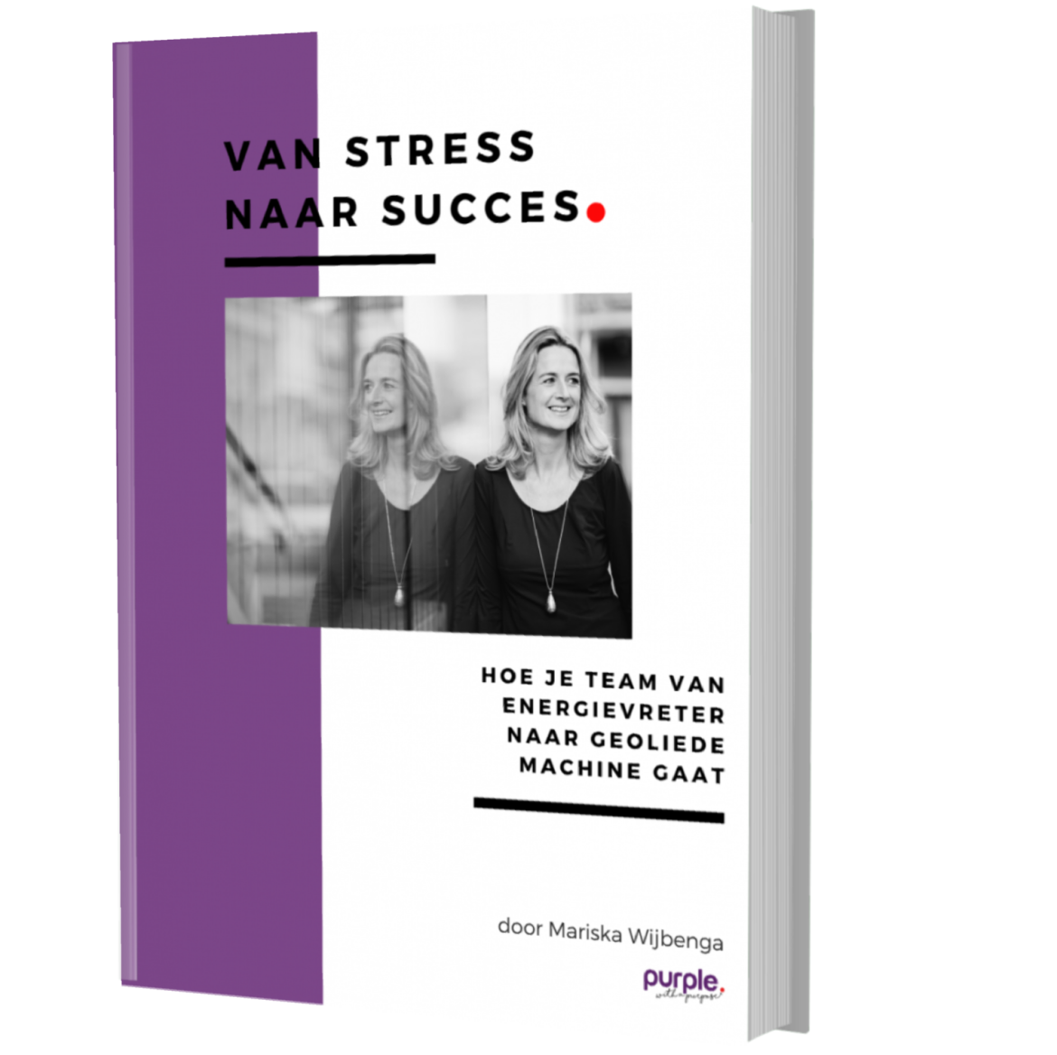 Ebook Van Stress naar Succes