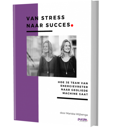 Ebook Van Stress naar Succes