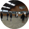 workshop coaching met paarden