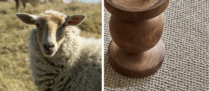 Wonderwool Desso Blog QiiD