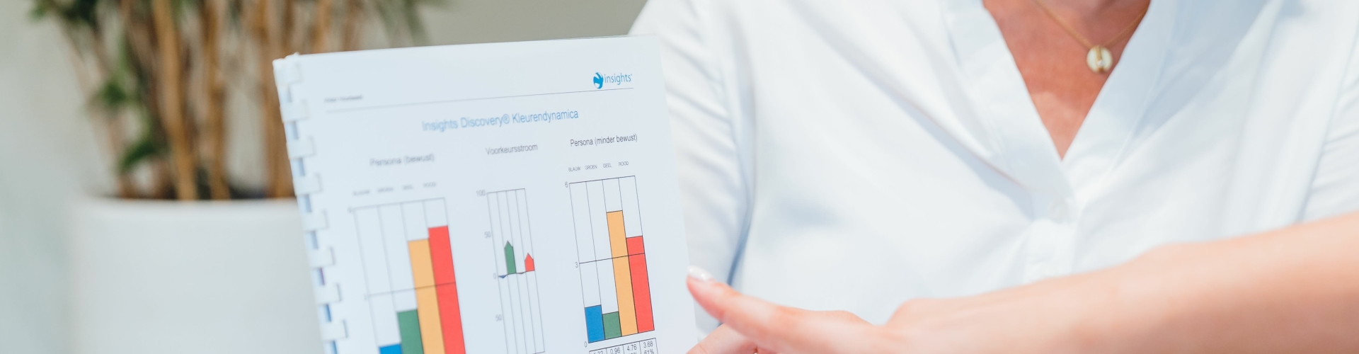 een Insights Practitioner bespreekt een Insights Discovery profiel met een coachee