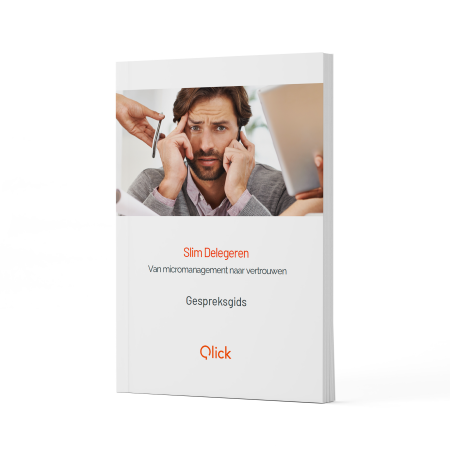 een werkboek rond Slim Delegeren