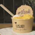 Bakje schepijs met koekje en ijslepeltje