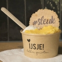 Bakje schepijs met koekje en ijslepeltje