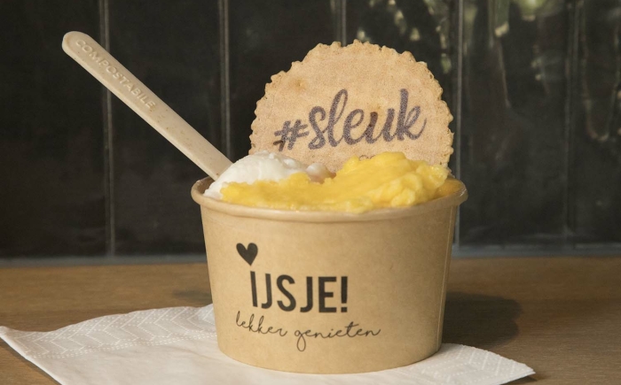 Bakje schepijs met koekje en ijslepeltje