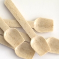 Some compostable ice cream scoops
