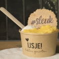 Bakje schepijs met koekje en ijslepeltje