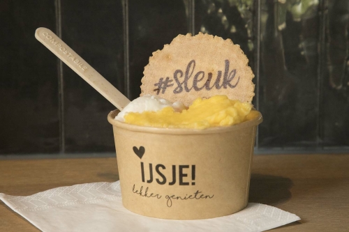 Bakje schepijs met koekje en ijslepeltje