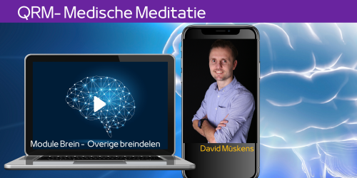 Grote hersenen, cerebellum, hersenschors en prefrontale cortex in balans