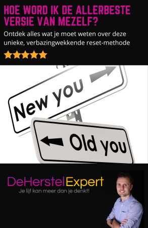 Ebook De herstel Expert