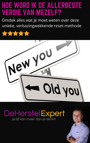 Ebook De herstel Expert