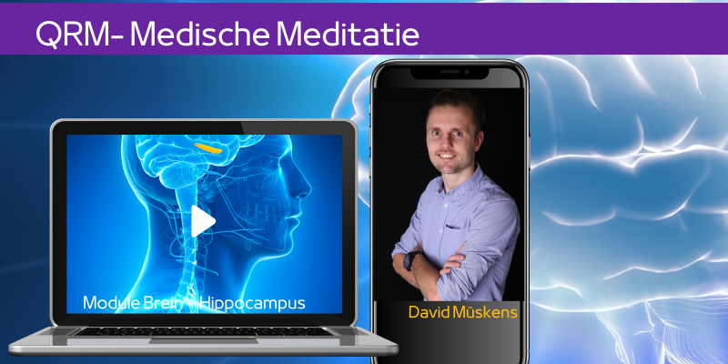 Hippocampus in het brein en de rol bij geheugen, emoties en slaap