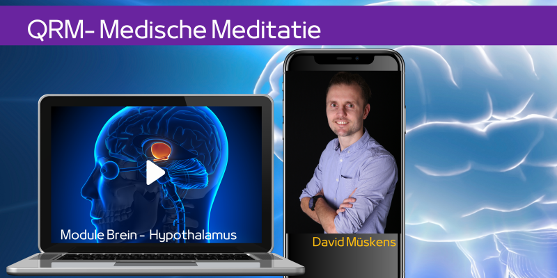Hypothalamus in het brein, regelpaneel voor hormonen en stress
