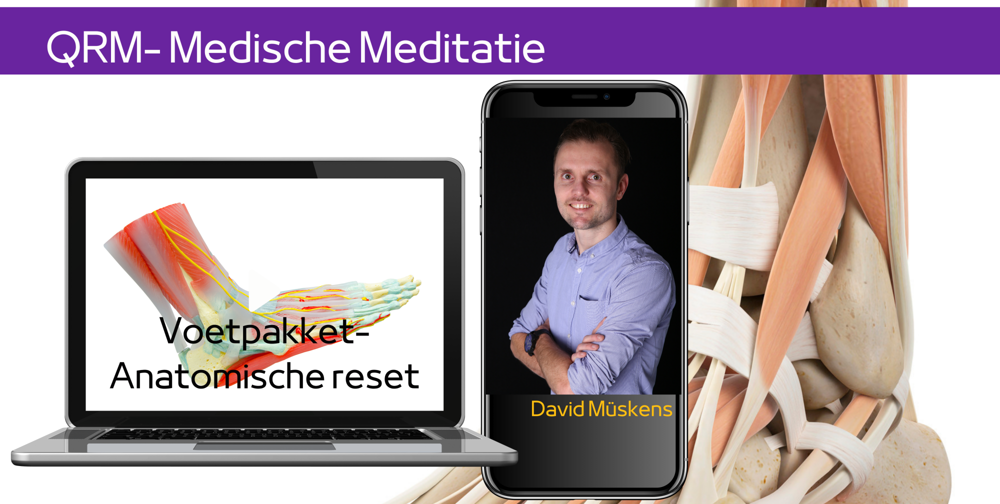 voet reset anatomisch