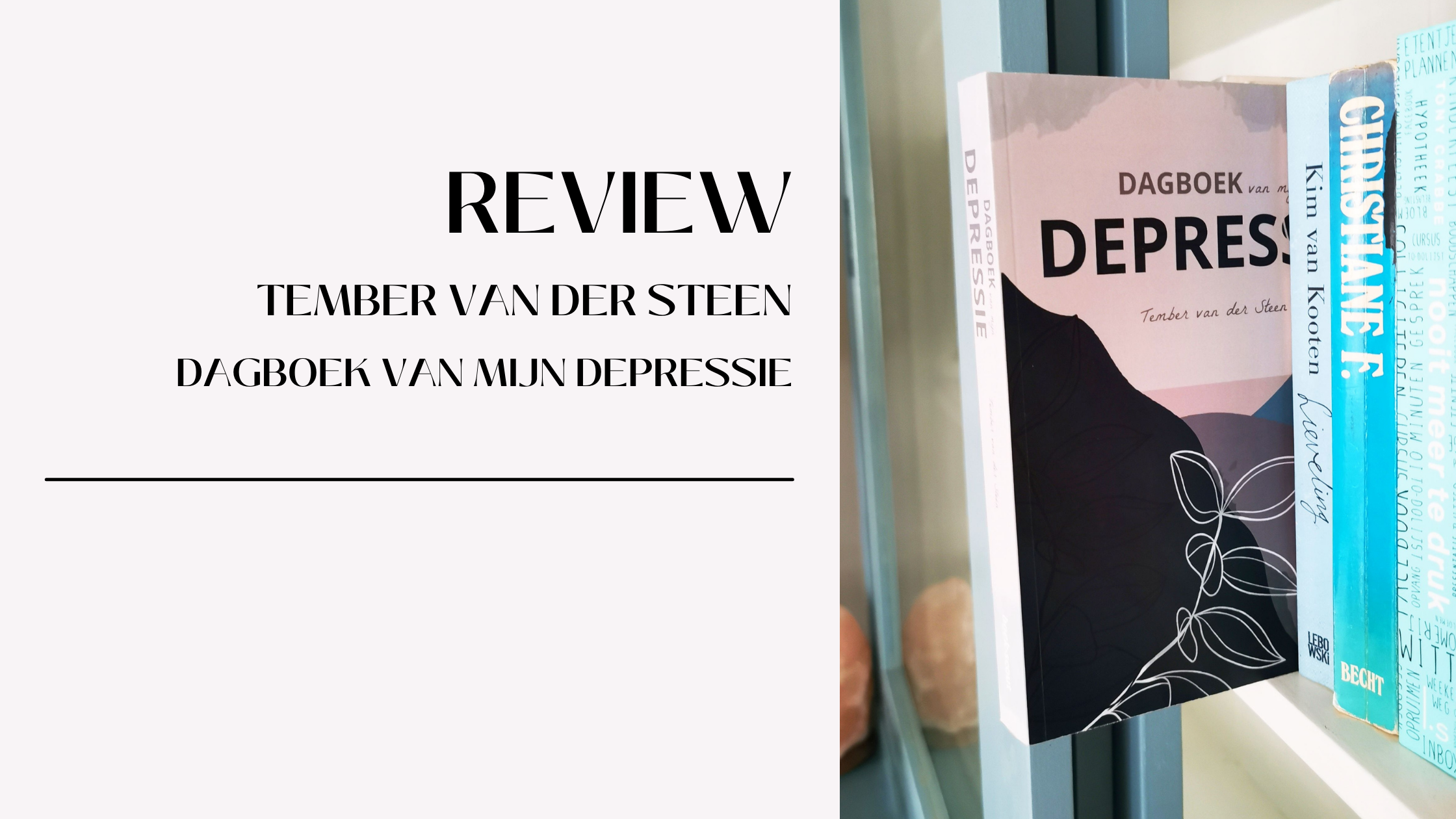 Boekreview: dagboek van mijn depressie - Tember van der Steen