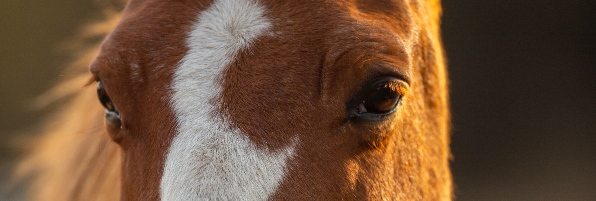 photocredit Pieter van Noorden unsplash photocredit Pieter van Noorden unsplash